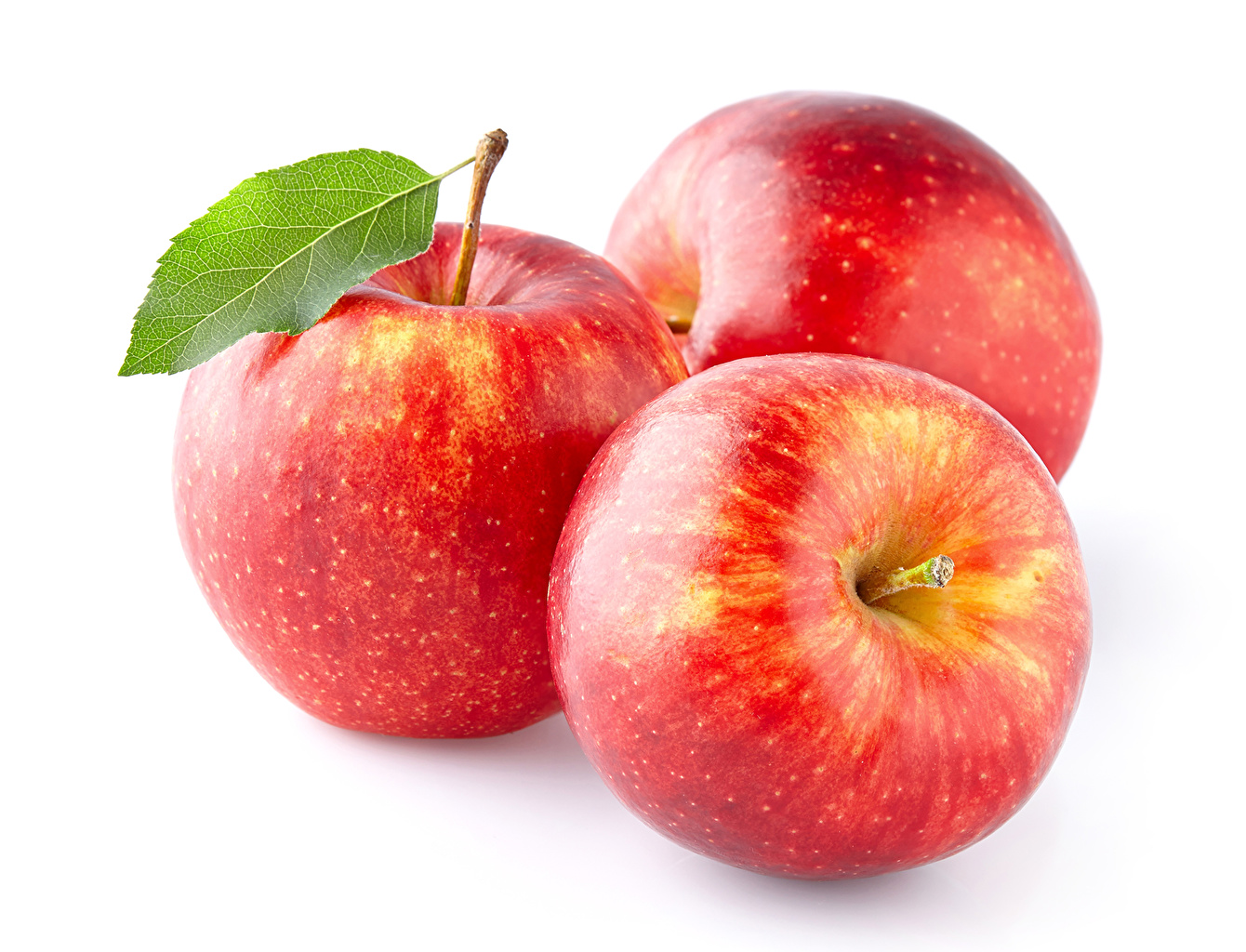сертификат соответствия яблоки 