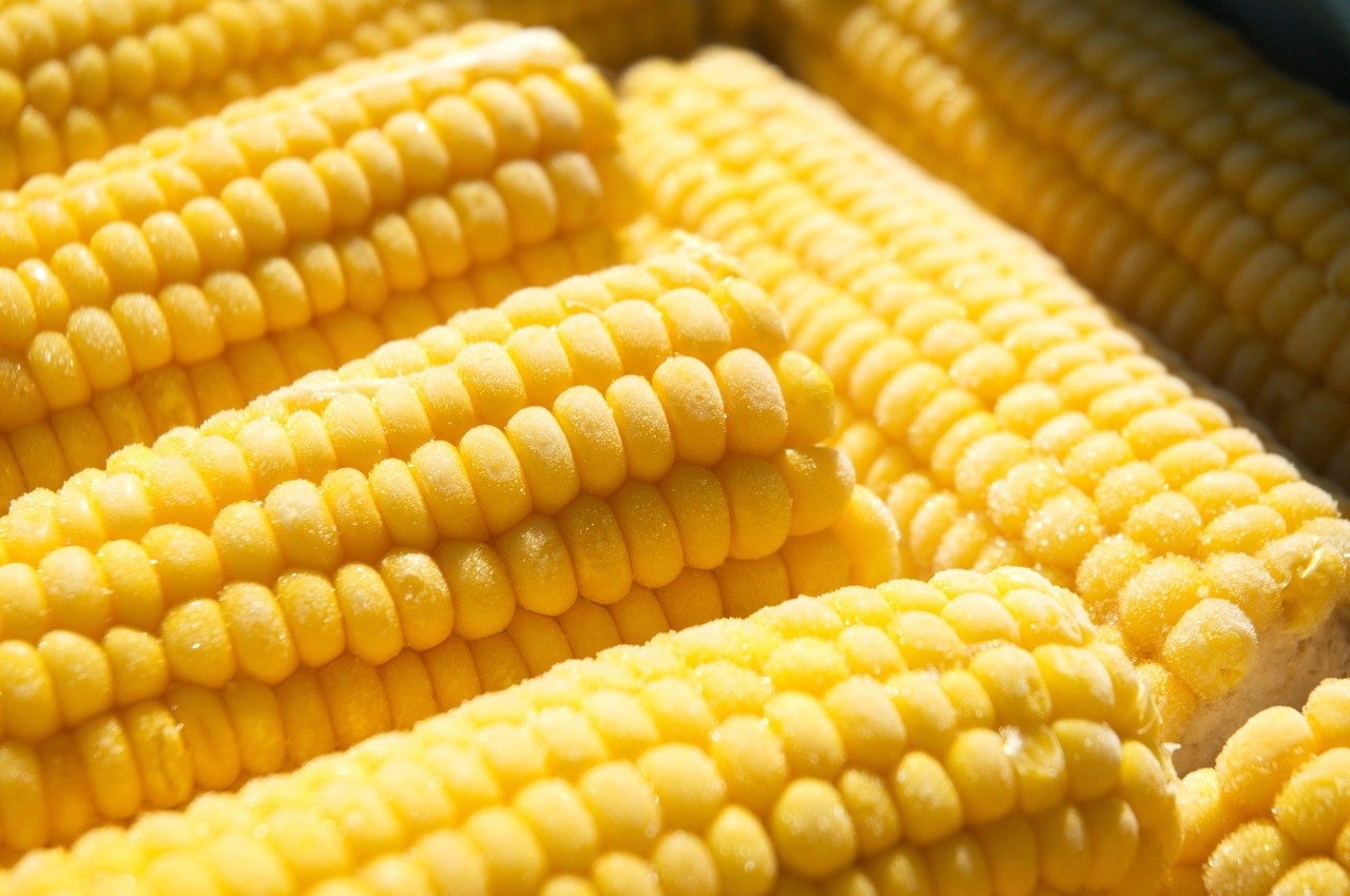 декларация соответствия на кукурузу